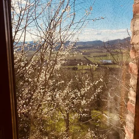 Lägenhet Mirabella - *